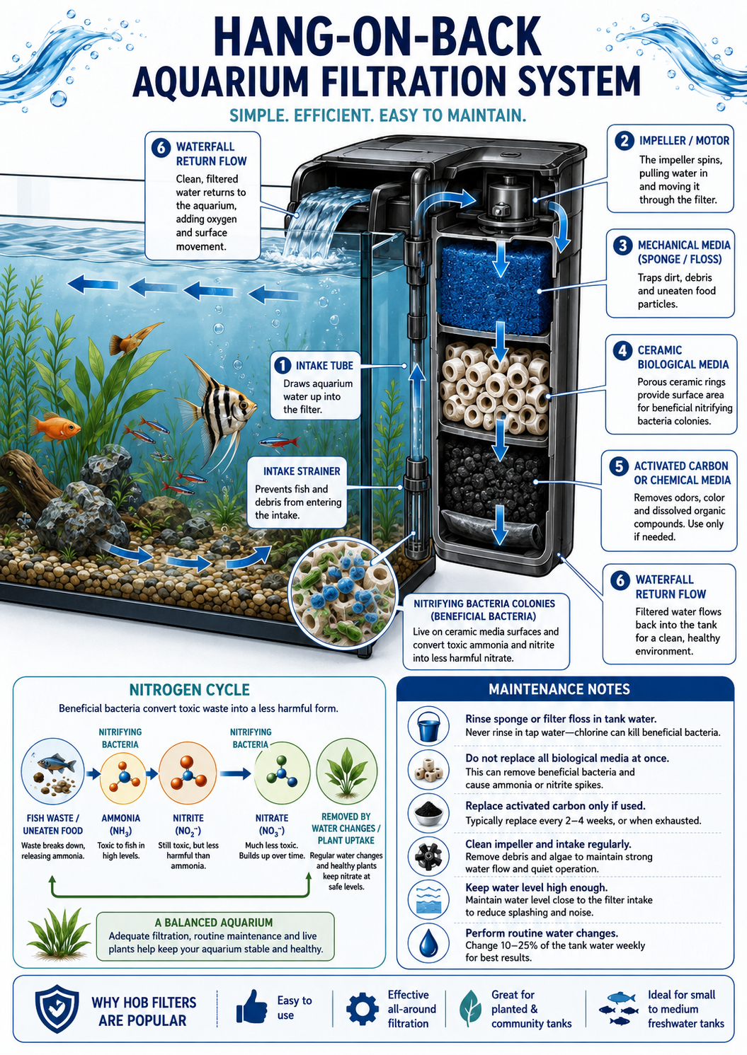 Hang-on-back aquarium filtration system diagram