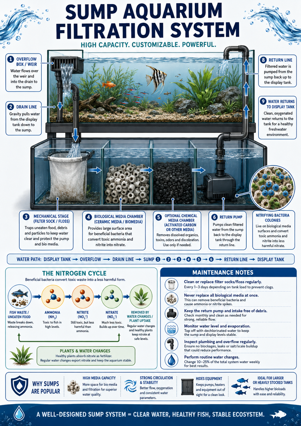 Sump aquarium filtration system diagram for a planted freshwater aquarium