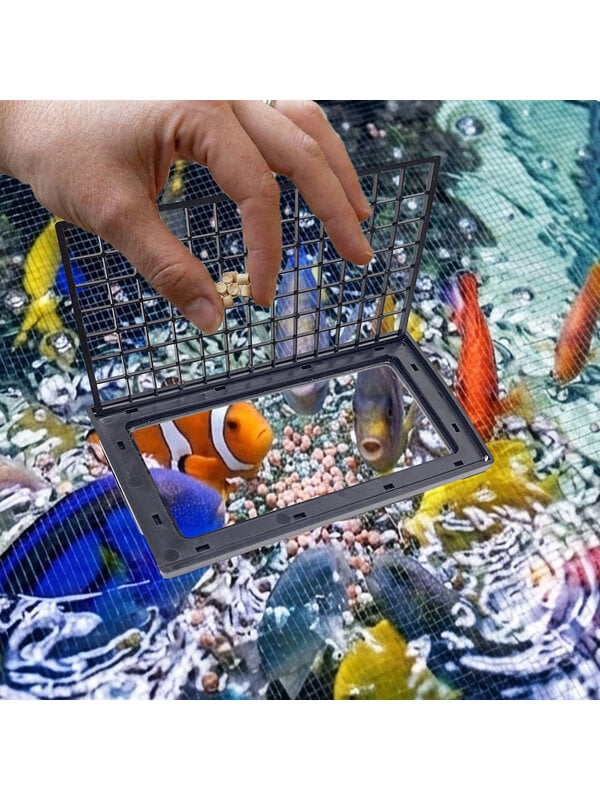 Automatic feeder and aquarium food setup