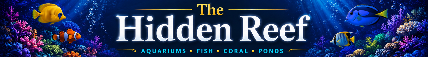 The Hidden Reef - Aquariums, Fish, Coral, Ponds